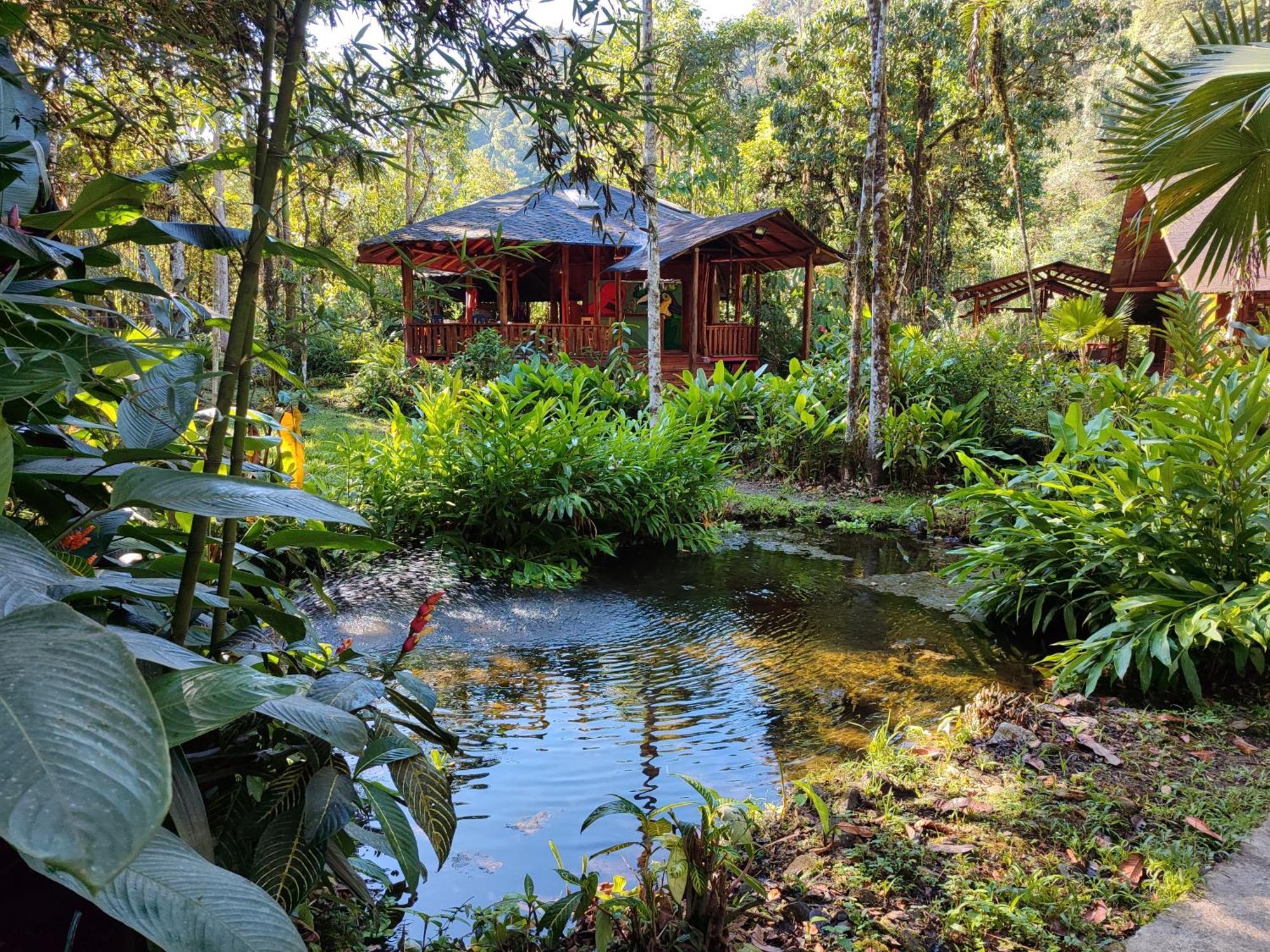 Mindo Garden Lodge And Wildlife Reserve Eksteriør billede